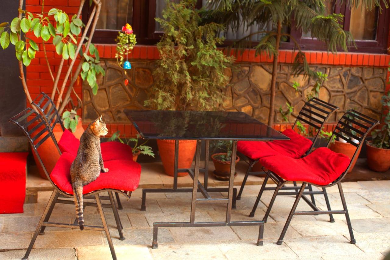 Hotel Atlantic Kathmandu Ngoại thất bức ảnh